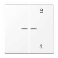 Таймер Jung LS серия белоснежный матовый универсальный Bluetooth LS1751BTWWM LS1751BTWWM  фото | Capital Power - инженерные системы