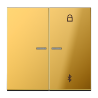 Таймер Jung LS серия имитация золота универсальный Bluetooth GO1751BT GO1751BT  фото | Capital Power - инженерные системы