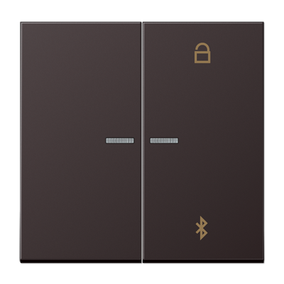 Таймер Jung LS серия Dark универсальный Bluetooth AL1751BTD AL1751BTD  фото | Capital Power - инженерные системы