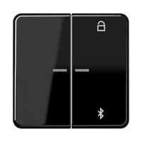 Таймер Jung CD серия черный универсальный Bluetooth CD1751BTSW CD1751BTSW  фото | Capital Power - инженерные системы
