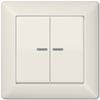 Клавиша Jung AS 500 слоновая кость для сдвоенного выключателя, с рамкой AS590-5KO5 AS590-5KO5  фото | Capital Power - инженерные системы