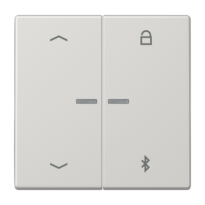 Таймер Jung LS серия светло-серый универсальный Bluetooth «стрелки» LS1751PBTLG LS1751PBTLG  фото | Capital Power - инженерные системы