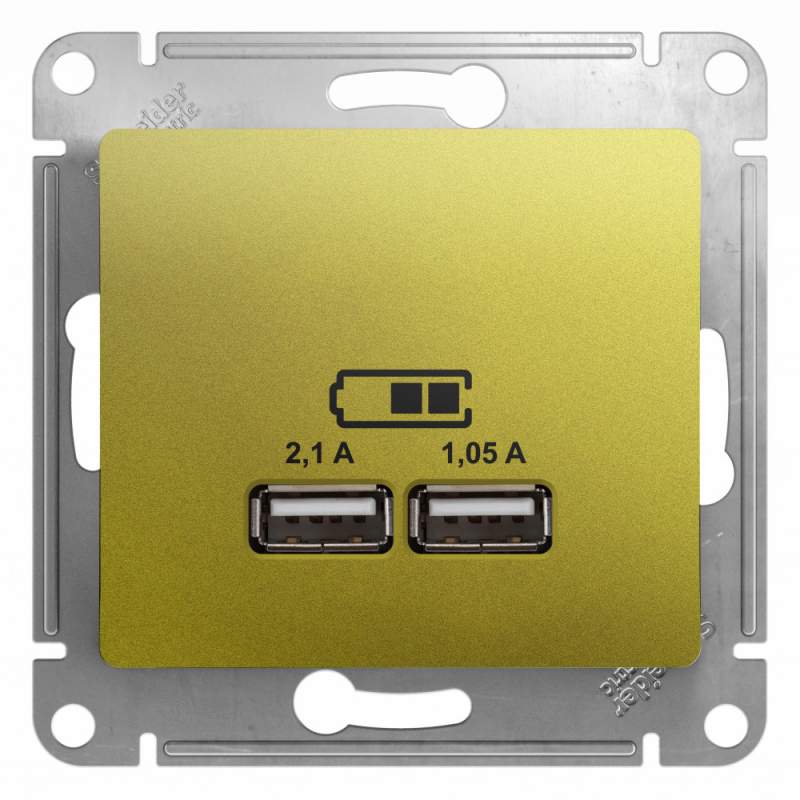 Розетка USB Systeme Electric серии Glossa A+A, 5В/2,1 А, 2х5В/1,05 А, механизм, ФИСТАШКОВЫЙ GSL001033  фото | Capital Power - инженерные системы
