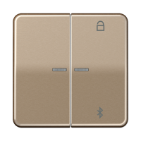 Таймер Jung CD серия бронза универсальный Bluetooth CD1751BTGB CD1751BTGB  фото | Capital Power - инженерные системы