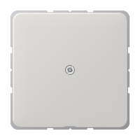 Вывод кабеля Jung CD серия Светло-серая CD590ALG CD590ALG  фото | Capital Power - инженерные системы