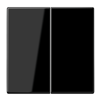 Клавиша Jung LS серия Черный 2-я LS995SW LS995SW  фото | Capital Power - инженерные системы