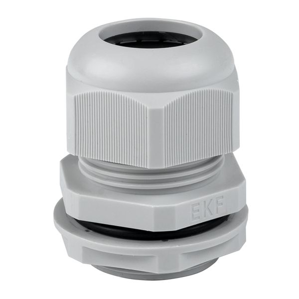 Сальник PG29 IP54 (20 шт) d отв, 37 мм / d провод, 18-25 мм EKF PROxima PLC-PG-29-R  фото | Capital Power - инженерные системы