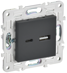 Розетка USB A+C 18Вт SK-R13G графит IEK серии SKANDY SK-U22-018-K53  фото | Capital Power - инженерные системы