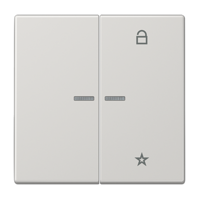 Центральная плата Jung LS серия светло-серый универсальная LS1701LG LS1701LG  фото | Capital Power - инженерные системы