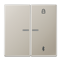 Таймер Jung LS серия Нержавеющая сталь универсальный Bluetooth ES1751BT ES1751BT  фото | Capital Power - инженерные системы