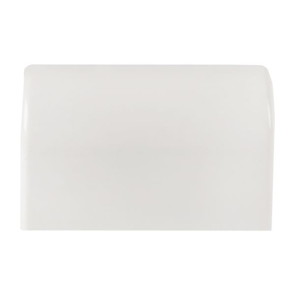 Заглушка (100х40) (2 шт) белая EKF-Plast ECW-100-40X2  фото | Capital Power - инженерные системы