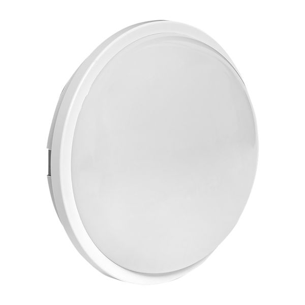 Светильник светодиодный ЖКХ круг ДПО-2006 20Вт 4000K IP65 LUMA EKF BKL-2006-R-20-4000  фото | Capital Power - инженерные системы