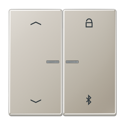 Таймер Jung LS серия Нержавеющая сталь универсальный Bluetooth «стрелки» ES1751PBT ES1751PBT  фото | Capital Power - инженерные системы