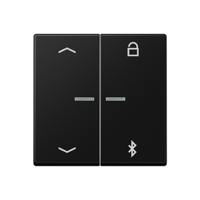 Таймер универсальный Jung A серия матовый чёрный графит Bluetooth «стрелки» A1751BFPBTSWM A1751BFPBTSWM  фото | Capital Power - инженерные системы