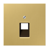 Накладка Jung LS серия Классик на UAE-розетки ME2969-1UAC ME2969-1UAC  фото | Capital Power - инженерные системы