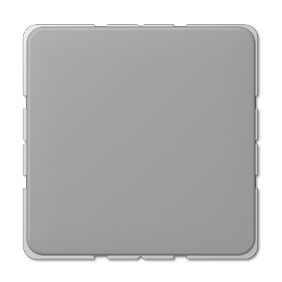 Заглушка Jung CD серия серая CD594-0GR CD594-0GR  фото | Capital Power - инженерные системы