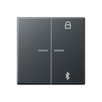 Таймер универсальный Jung A серия матовый антрацит Bluetooth A1751BFBTANM A1751BFBTANM  фото | Capital Power - инженерные системы