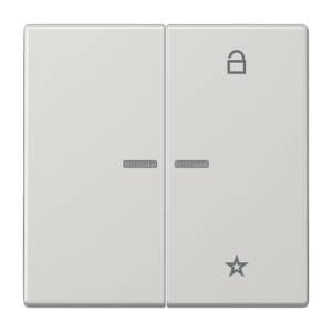 Центральная плата Jung LS серия светло-серый универсальная LS1701LG LS1701LG  фото | Capital Power - инженерные системы