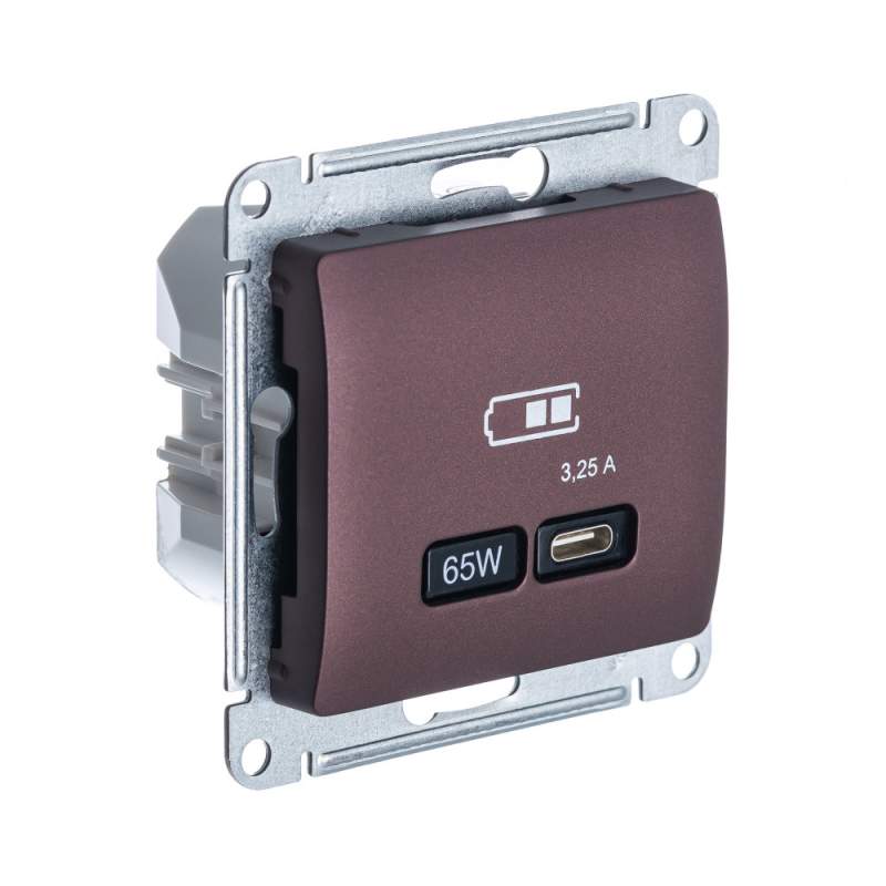 Розетка USB Systeme Electric серии Glossa тип-C 65Вт высокоскор.заряд. QC, PD, механизм, БАКЛАЖАНОВЫЙ GSL001127  фото | Capital Power - инженерные системы