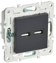 Розетка USB A+A 3,1А SK-R15G графит IEK серии SKANDY SK-U21-D31-K53  фото | Capital Power - инженерные системы