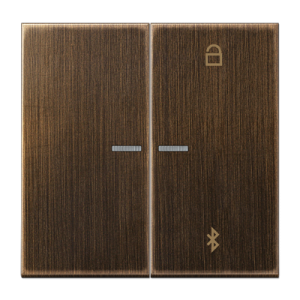 Таймер Jung LS серия Латунь антик универсальный Bluetooth ME1751BTAT ME1751BTAT  фото | Capital Power - инженерные системы
