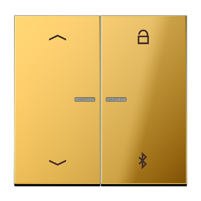 Таймер Jung LS серия имитация золота универсальный Bluetooth «стрелки» GO1751PBT GO1751PBT  фото | Capital Power - инженерные системы