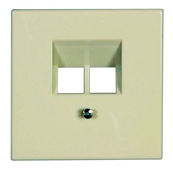 Накладка Jung LS серия Бежевая 2-ой наклонной ТЛФ/комп розетки LS969-2UA LS969-2UA  фото | Capital Power - инженерные системы