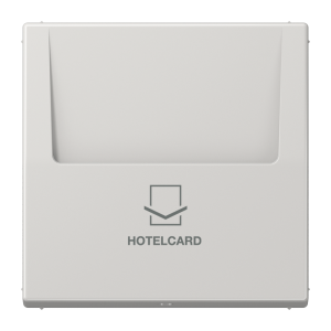 Накладка карточного выключателя Jung LS серия серый &amp;quot;HOTELCARD&amp;quot; LS590CARDLG LS590CARDLG  фото | Capital Power - инженерные системы