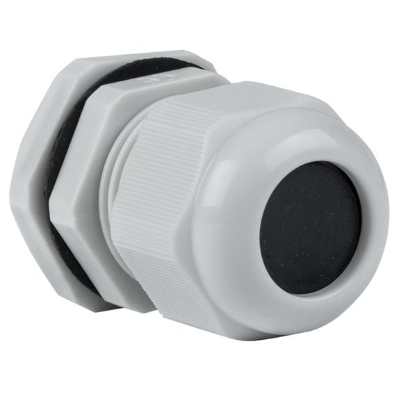 Сальник PG16 IP54 (20 шт) d отв, 21 мм / d провод, 10-14 мм EKF PROxima PLC-PG-16-R  фото | Capital Power - инженерные системы