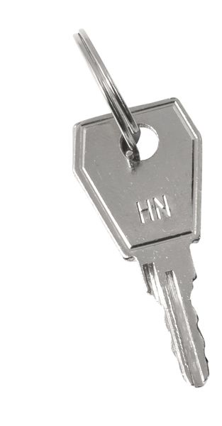 Ключ для пластикового замка к ЩРН (арт, lock-shrn-ip31) EKF PROxima KEY-4  фото | Capital Power - инженерные системы