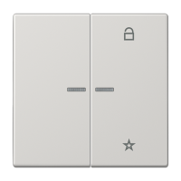 Центральная плата Jung LS серия светло-серый универсальная LS1701LG LS1701LG  фото | Capital Power - инженерные системы