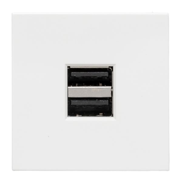 Розетка USB A+A, 2,1А, 2 гнезда, без индикатора EKF E2MR2-20USB-10  фото | Capital Power - инженерные системы
