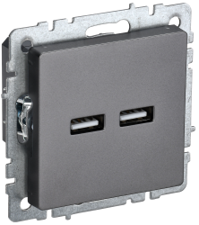 Розетка USB A+A 5В 3,1А РЮ10-1-БрС сталь IEK серии BRITE BR-U21-D31-K46  фото | Capital Power - инженерные системы