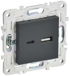 Розетка USB A+C 18Вт SK-R13T титан IEK серии SKANDY SK-U22-018-K48  фото | Capital Power - инженерные системы