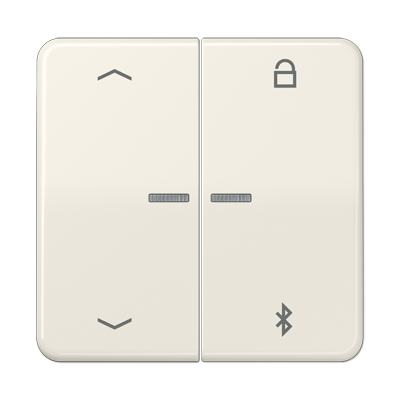 Таймер Jung CD серия слоновая кость универсальный Bluetooth «стрелки» CD1751PBT CD1751PBT  фото | Capital Power - инженерные системы