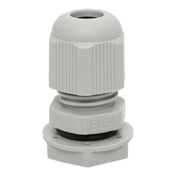 Сальник PG9 IP54 (20 шт) d отв, 16 мм / d провод, 4-8 мм EKF PROxima PLC-PG-9-R  фото | Capital Power - инженерные системы