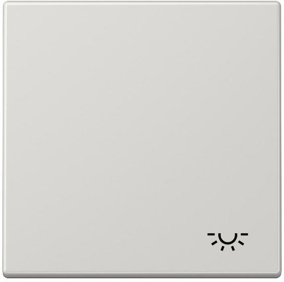 Клавиша Jung LS серия для выключателя с символом свет LS990LLG LS990LLG  фото | Capital Power - инженерные системы