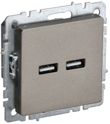 Розетка USB A+A 5В 3,1А РЮ10-1-БрШ шампань IEK серии BRITE BR-U21-D31-K37  фото | Capital Power - инженерные системы