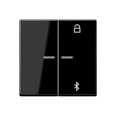 Таймер универсальный Jung A серия черный Bluetooth A1751BTSW A1751BTSW  фото | Capital Power - инженерные системы