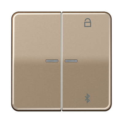 Таймер Jung CD серия бронза универсальный Bluetooth CD1751BTGB CD1751BTGB  фото | Capital Power - инженерные системы