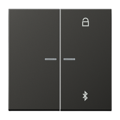 Таймер Jung LS серия Антрацит универсальный Bluetooth AL1751BTAN AL1751BTAN  фото | Capital Power - инженерные системы
