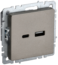 Розетка USB A+C 18Вт РЮ11-1-БрШ шампань IEK серии BRITE BR-U22-018-K37  фото | Capital Power - инженерные системы