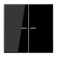 Клавиша Jung LS серия Черный 2-я с/п LS995KO5SW LS995KO5SW  фото | Capital Power - инженерные системы