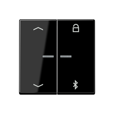 Таймер универсальный Jung A серия черный Bluetooth «стрелки» A1751PBTSW A1751PBTSW  фото | Capital Power - инженерные системы