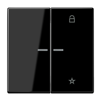 Центральная плата Jung LS серия черная универсальная LS1701SW LS1701SW  фото | Capital Power - инженерные системы