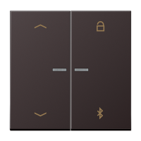 Таймер Jung LS серия Dark универсальный Bluetooth «стрелки» AL1751PBTD AL1751PBTD  фото | Capital Power - инженерные системы
