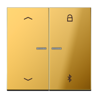 Таймер Jung LS серия имитация золота универсальный Bluetooth «стрелки» GO1751PBT GO1751PBT  фото | Capital Power - инженерные системы