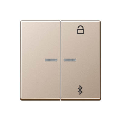 Таймер универсальный Jung A серия шампань Bluetooth A1751BTCH A1751BTCH  фото | Capital Power - инженерные системы
