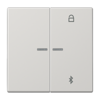 Таймер Jung LS серия светло-серый универсальный Bluetooth LS1751BTLG LS1751BTLG  фото | Capital Power - инженерные системы
