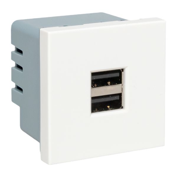 Розетка USB A+A, 2,1А, 2 гнезда, без индикатора EKF E2MR2-20USB-10  фото | Capital Power - инженерные системы